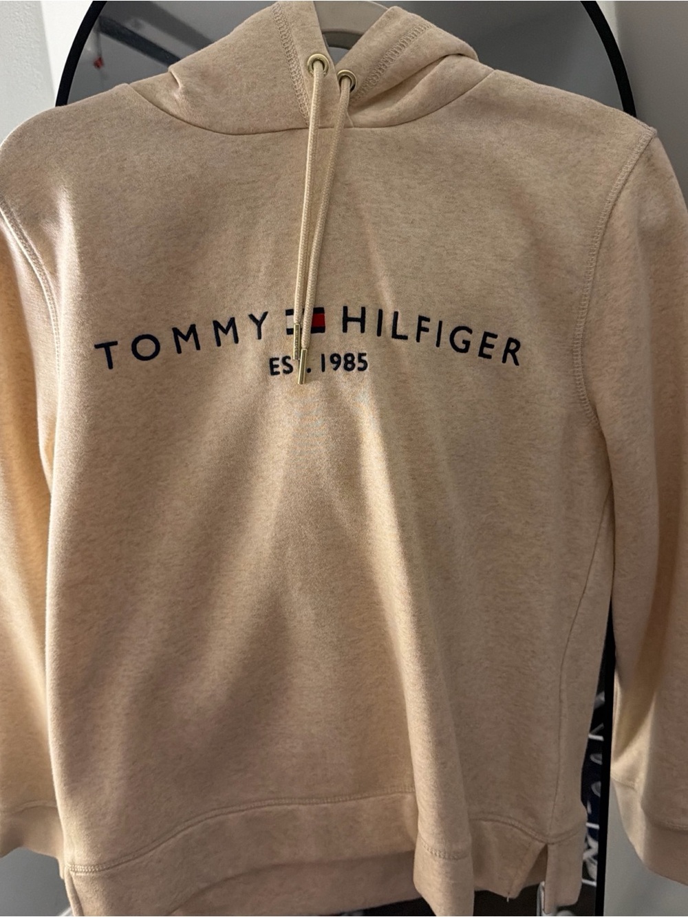 Tommy Hilfiger Men's Tan Pullover Hoodie with Logo